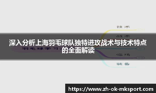 深入分析上海羽毛球队独特进攻战术与技术特点的全面解读