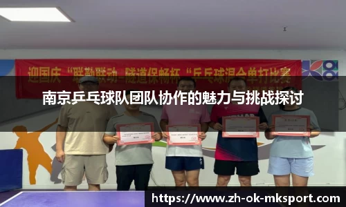 南京乒乓球队团队协作的魅力与挑战探讨